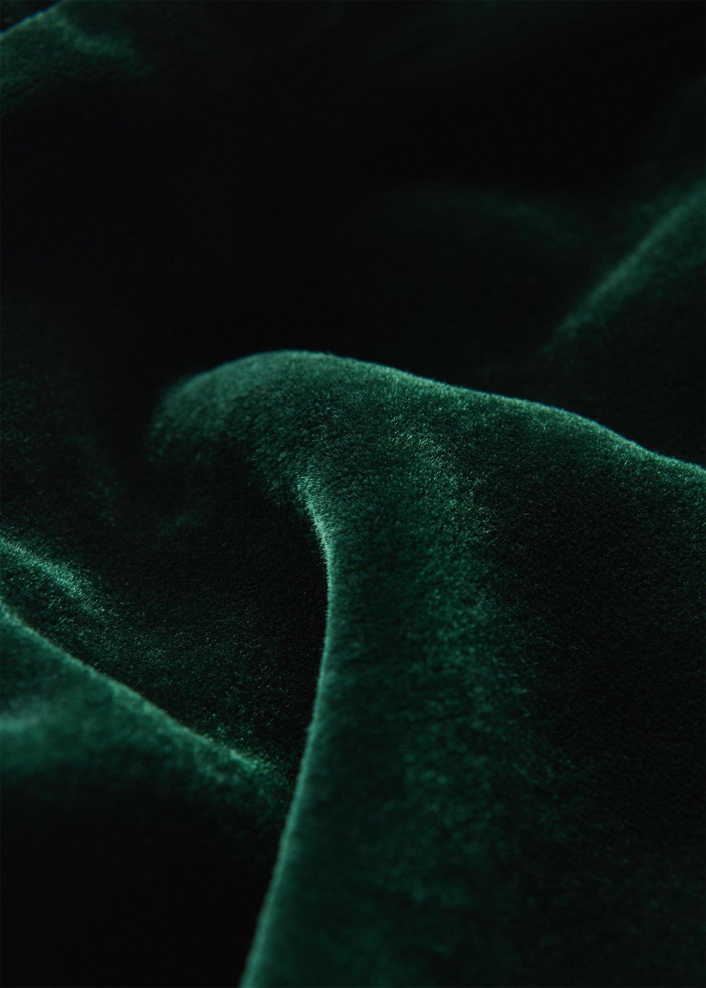 Petite Velvet Flare Sleeve Dress